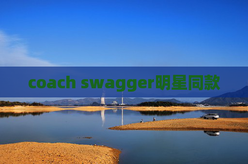 coach swagger明星同款